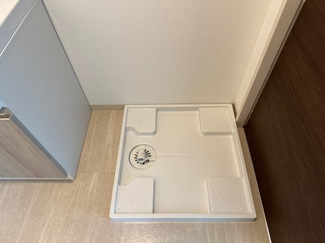 F　asecia iliaのその他