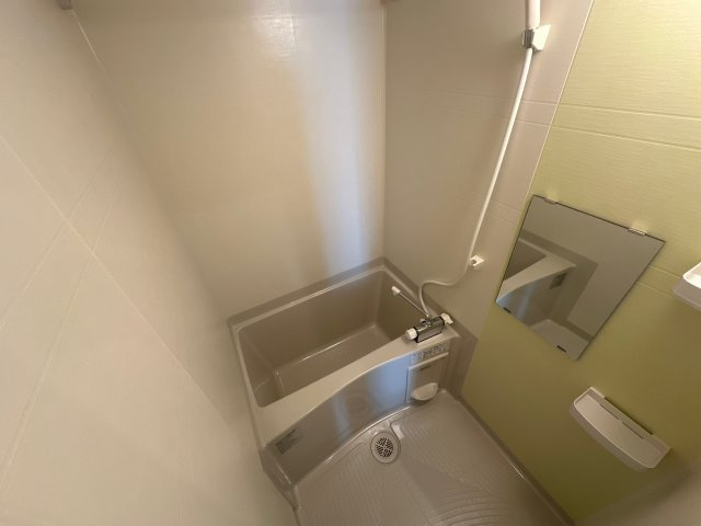 F　asecia iliaの浴室