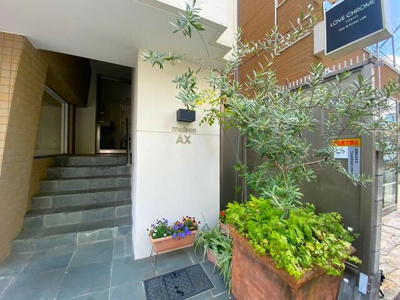 【エントランス】 | メゾンＡＸ |  