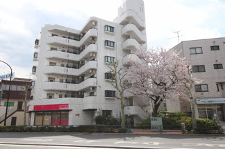 ★春には物件の前に桜が咲きます★