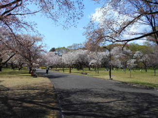 公園