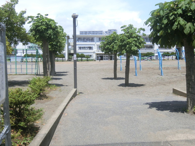 茅ヶ崎市立茅ヶ崎小学校まで1000ｍ