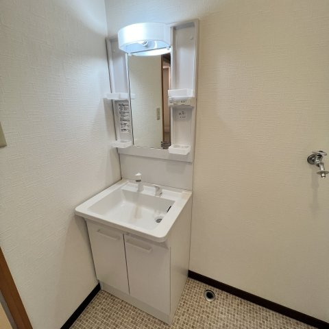 ベルシーヌ中島の洗面所