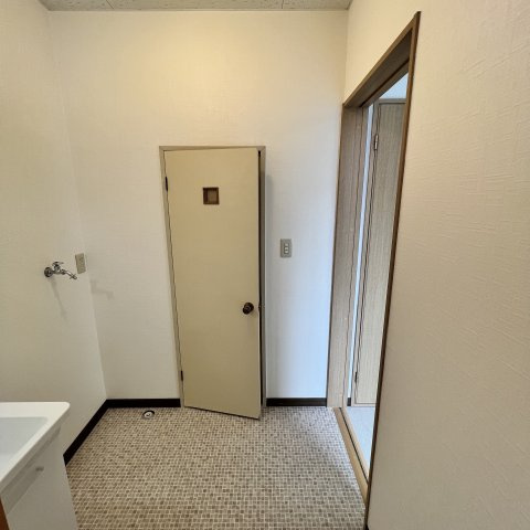 ベルシーヌ中島の洗面所