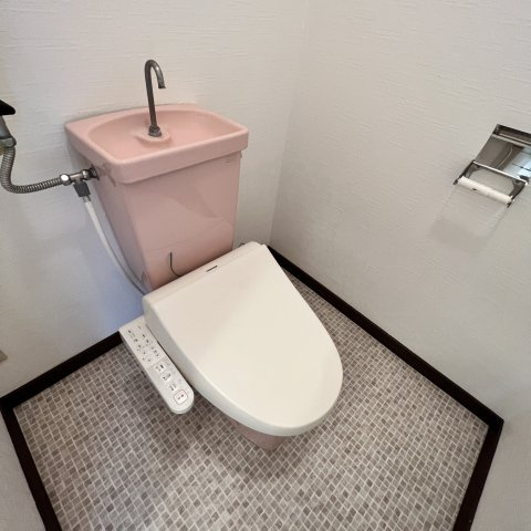 ベルシーヌ中島のトイレ