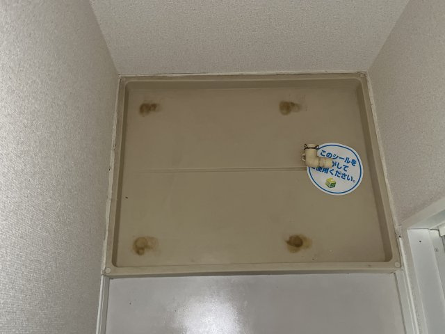 ＦＲＥＥＤＯＭのその他