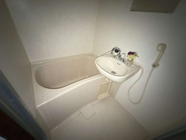 ラ・ポールの浴室