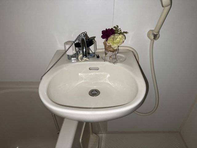 ラ・ポールの洗面所