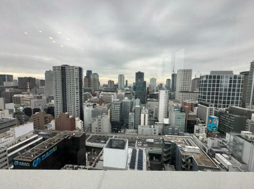 プレミストタワー靭本町（靱本町）の展望