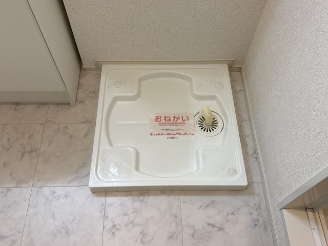 フィレール　デュ　トラジャⅥのその他
