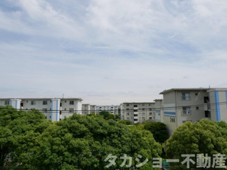 【展望】