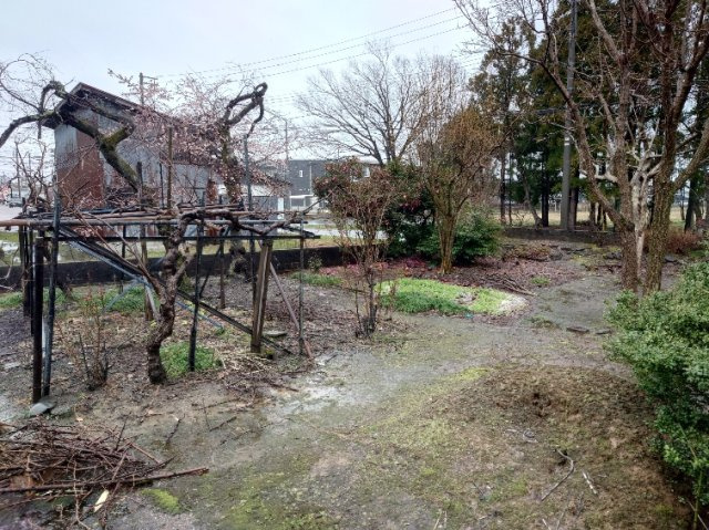 四ヶ所中古住宅の庭