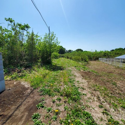 階上町大字角柄折字新田の外観
