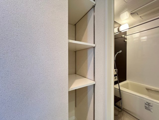 プレサンス難波ヴィータの洗面所
