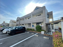 vida creciaの画像