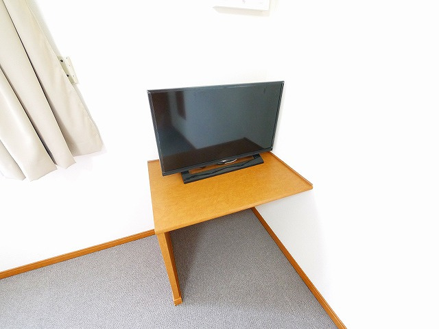 レオパレスエザーンスⅡのその他|テレビもあります