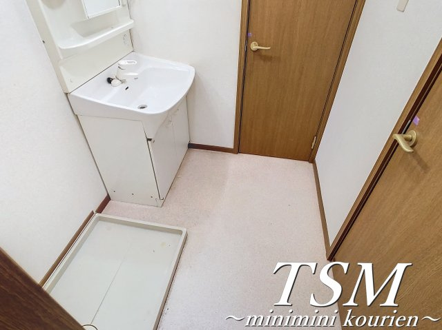 アネックス東中振の洗面所