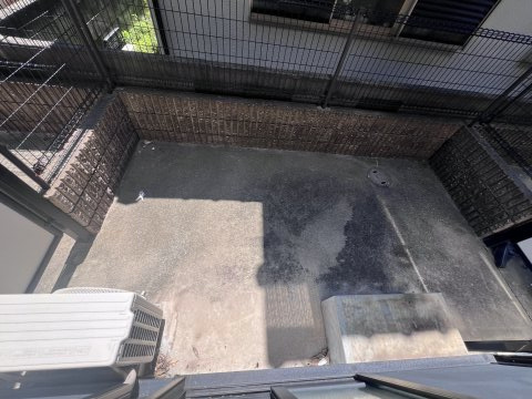 ハイネス野添Ⅱのバルコニー