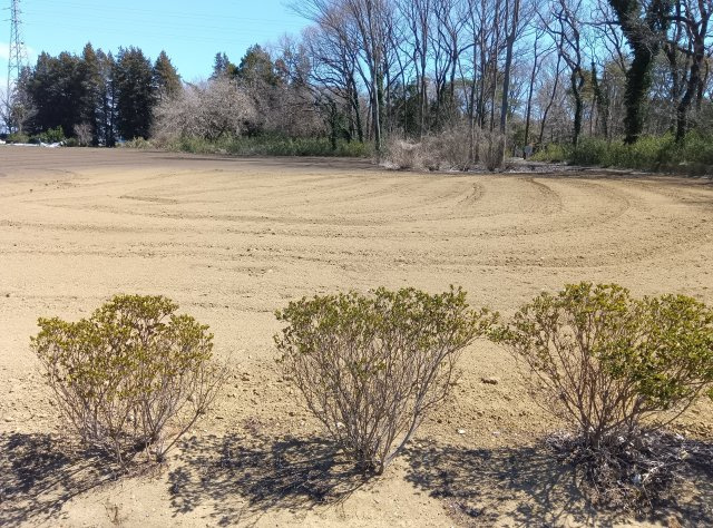 小山市東島田2484-1の外観