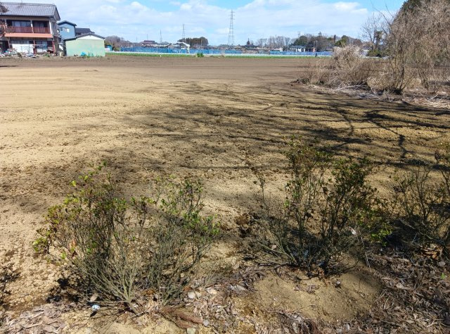 小山市東島田2484-1の土地図
