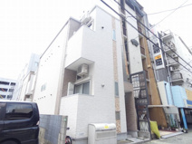 VILLETTA SASASHIMAの画像