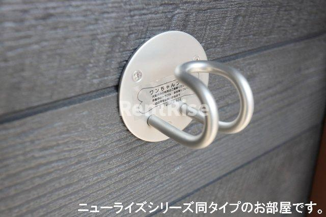 ベルフィオーレのその他|その他