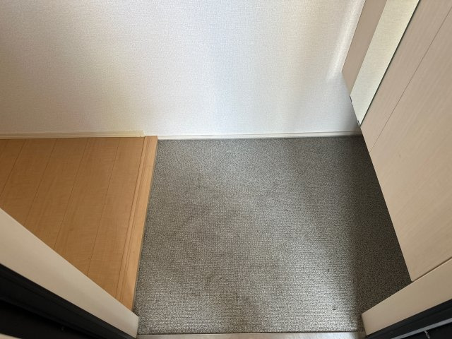 グランレーヴ壱番館の玄関