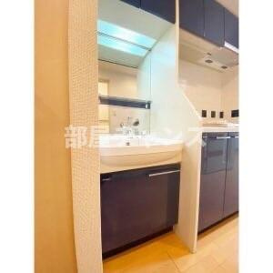 プレサンス泉シティアークの洗面所