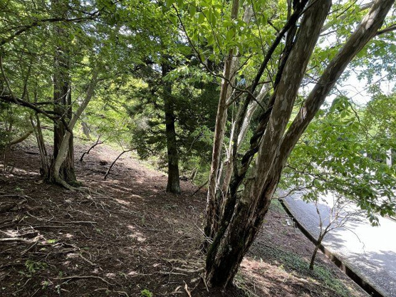 【外観】 | 東急天城高原別荘地　売地