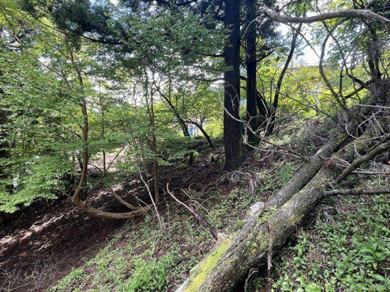 【外観】 | 東急天城高原別荘地　売地