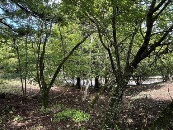 【外観】 | 東急天城高原別荘地　売地