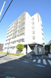 Satie今泉の画像