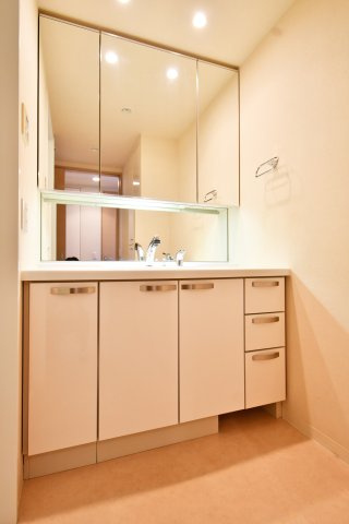 プラウド宮原ガーデニア　中古マンションの独立洗面台|洗面脱衣所はゆったり確保され、2人同時でも動きやすい広さ。ワイド三面鏡の洗面台は身支度がはかどり、シャンプードレッサーで忙しい朝も時短に。入浴準備や洗濯動線が整うと、家事の疲れが軽くなります。