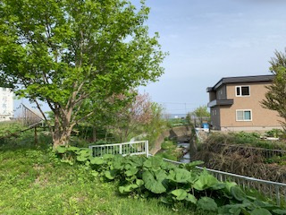 網走市字二ツ岩戸建の展望