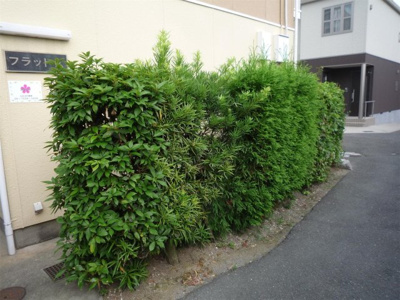 【その他】 | フラットK