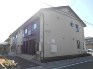 セジュールハナミズキの画像