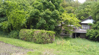 【外観】 | 柳井・馬皿