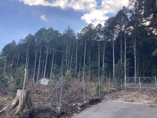 小野尻売り山林の外観