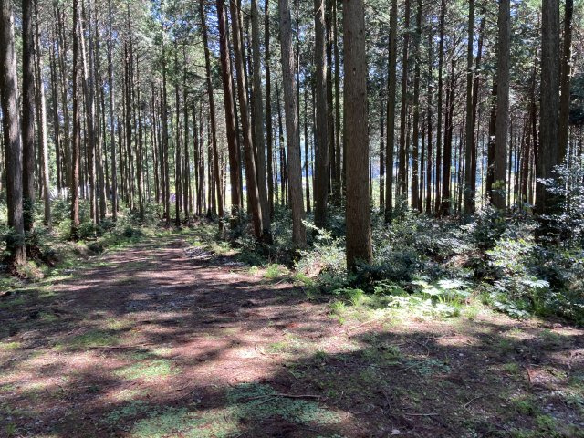 小野尻売り山林の外観|和室がひろがる居住スペース