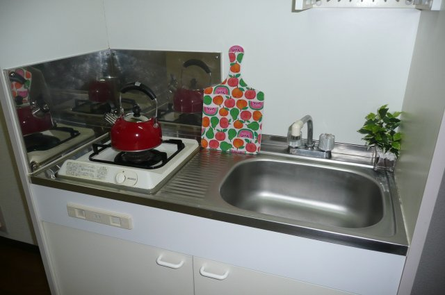 ヴァーナルⅡのキッチン