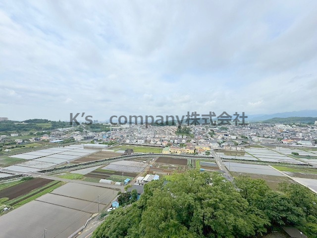 ■厚木市恩名5丁目　エステ・スクエア本厚木参番館の展望|緑豊かな穏やかな環境が感じられる眺望☆