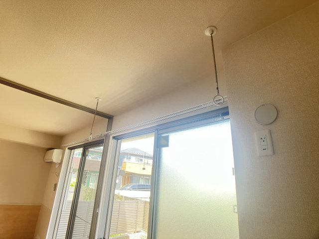 アルブルコインシデンスのその他