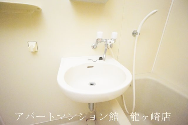 ビタエターナルの洗面所