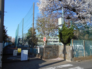 小学校