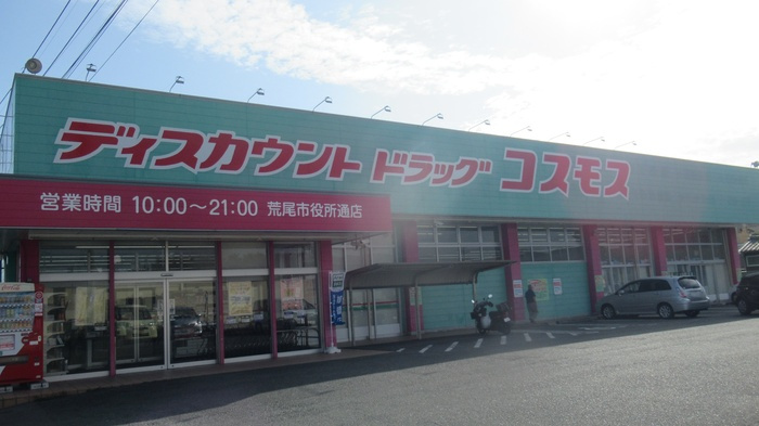 ルピナスシーサイド　D棟の周辺