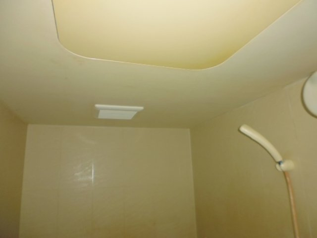 ヴィラ・エバーグリーンの浴室