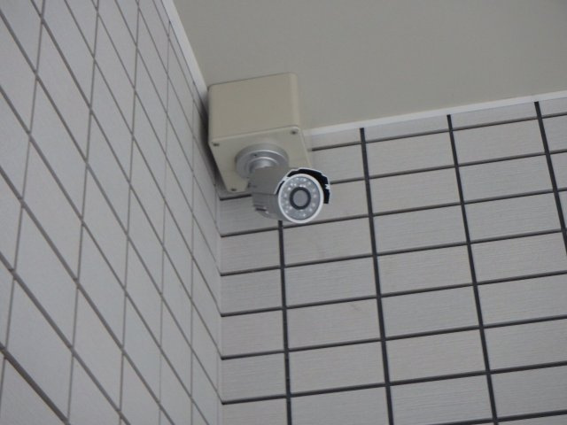 Gladvis kuramaguchiのセキュリティ