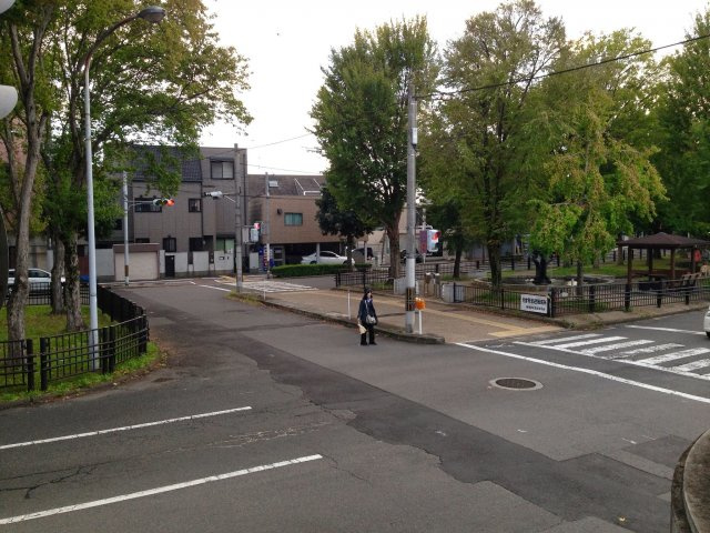 グリーンヒル紫明の展望