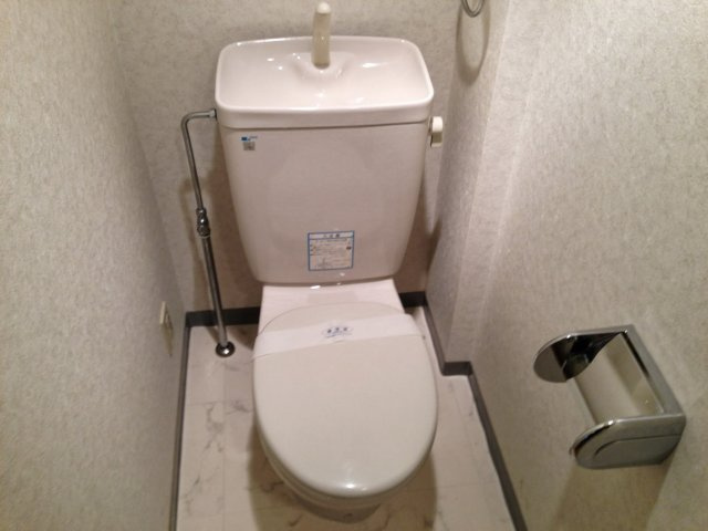 グリーンヒル紫明のトイレ