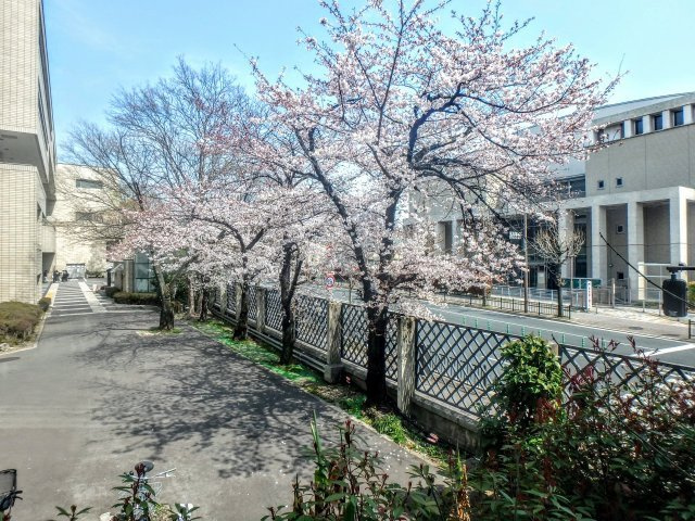 寺川ビルの展望